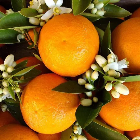 Epicenter Lujoso Apto Parking Gratis Perfecta Ubicacion *