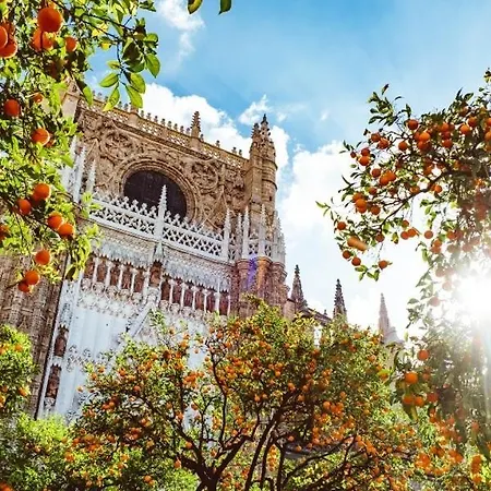 Epicenter Lujoso Apto Parking Gratis Perfecta Ubicacion Sevilla